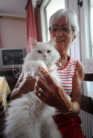 Die verschwundene Katze Miezi ist wieder aufgetaucht